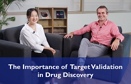 The Importance of Target Validation | TTC Considerations in Drug Discovery Series