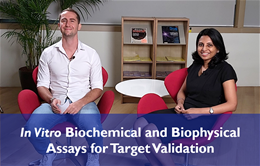In Vitro Biochemical and Biophysical Assays | TTC Considerations in Drug Discovery Series