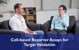  Cellular assays for Target Validation | TTC Considerations in Drug Discovery Series